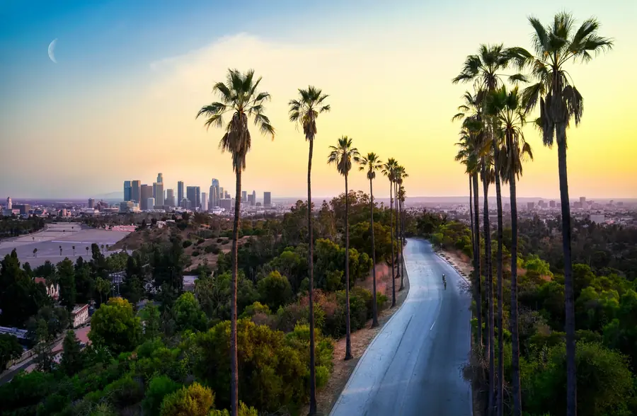 Palm lined road leading toward the Los Angeles skyline at golden hour